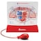 Learning Resources Pumping Heart Model 3535 - alternate 3